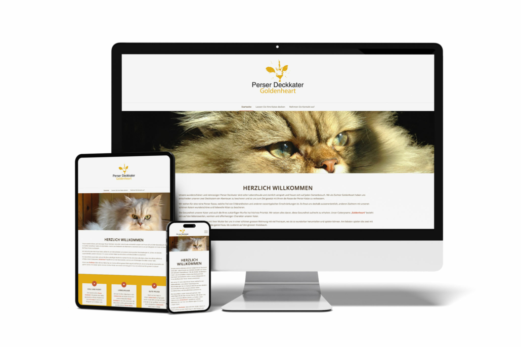 Webdesign Projekt für Perser Deckkater Goldenheart – responsives Layout und SEO-Optimierung